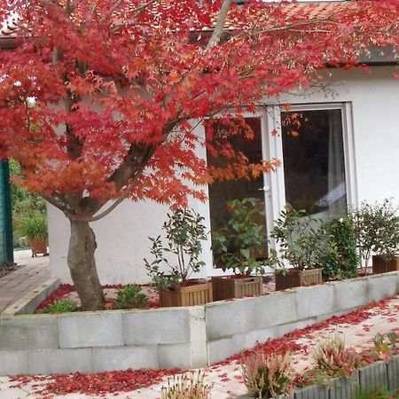 شقة Haus Magnolia 2 كاندرن المظهر الخارجي الصورة