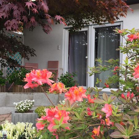 شقة Haus Magnolia 2 كاندرن المظهر الخارجي الصورة