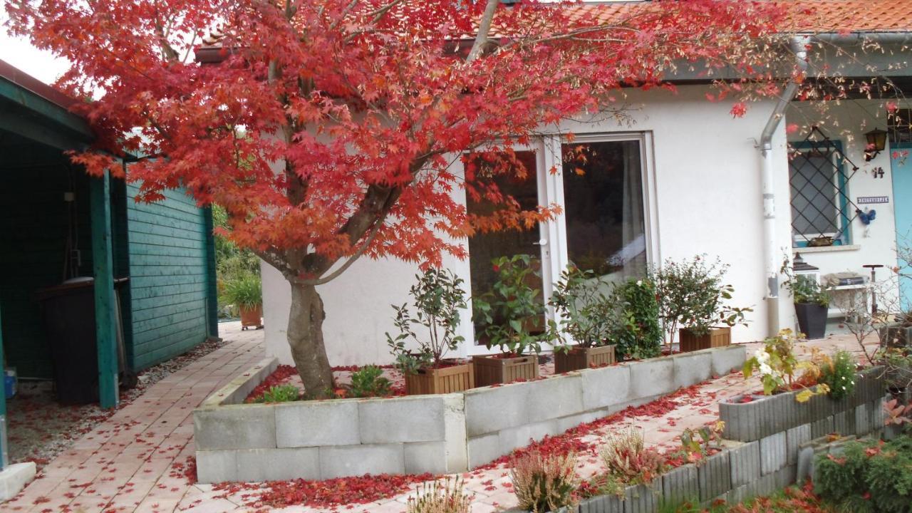شقة Haus Magnolia 2 كاندرن المظهر الخارجي الصورة